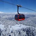 whistler (28)
